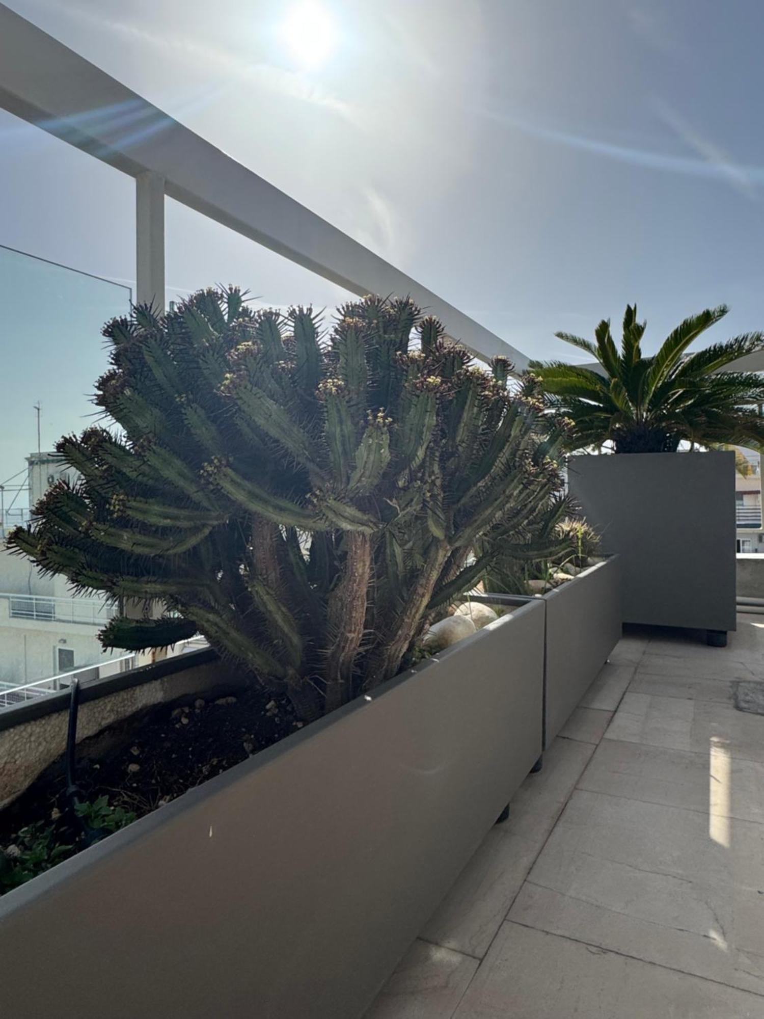 Sea Horizon Penthouse Flat Apartment Athens Luaran gambar